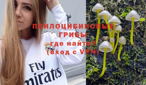 прущие крисы Армянск