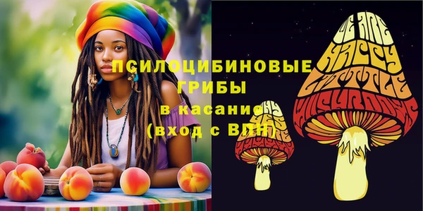 метамфетамин Майский