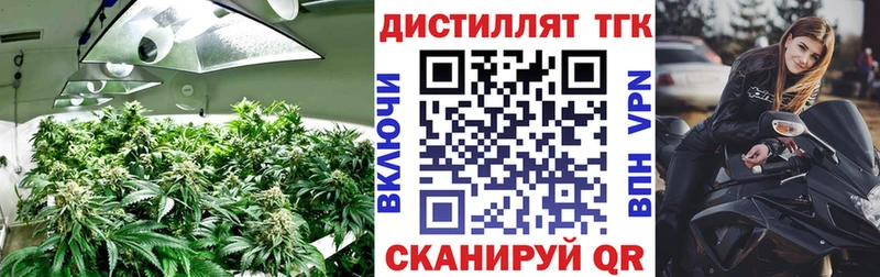 хочу   это Telegram  Дистиллят ТГК жижа  Шилка  hydra зеркало 