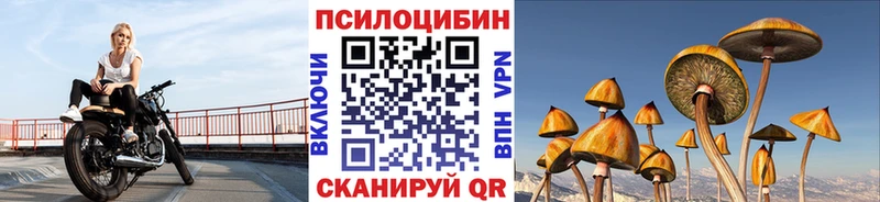 Галлюциногенные грибы мухоморы  магазин  наркотиков  Шилка 