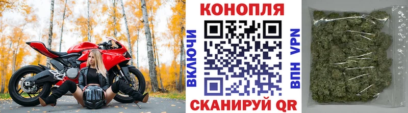 Шишки марихуана тримм Шилка